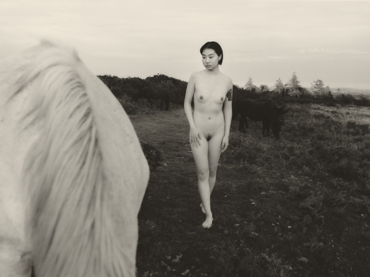 A model poses in the middle of a field.