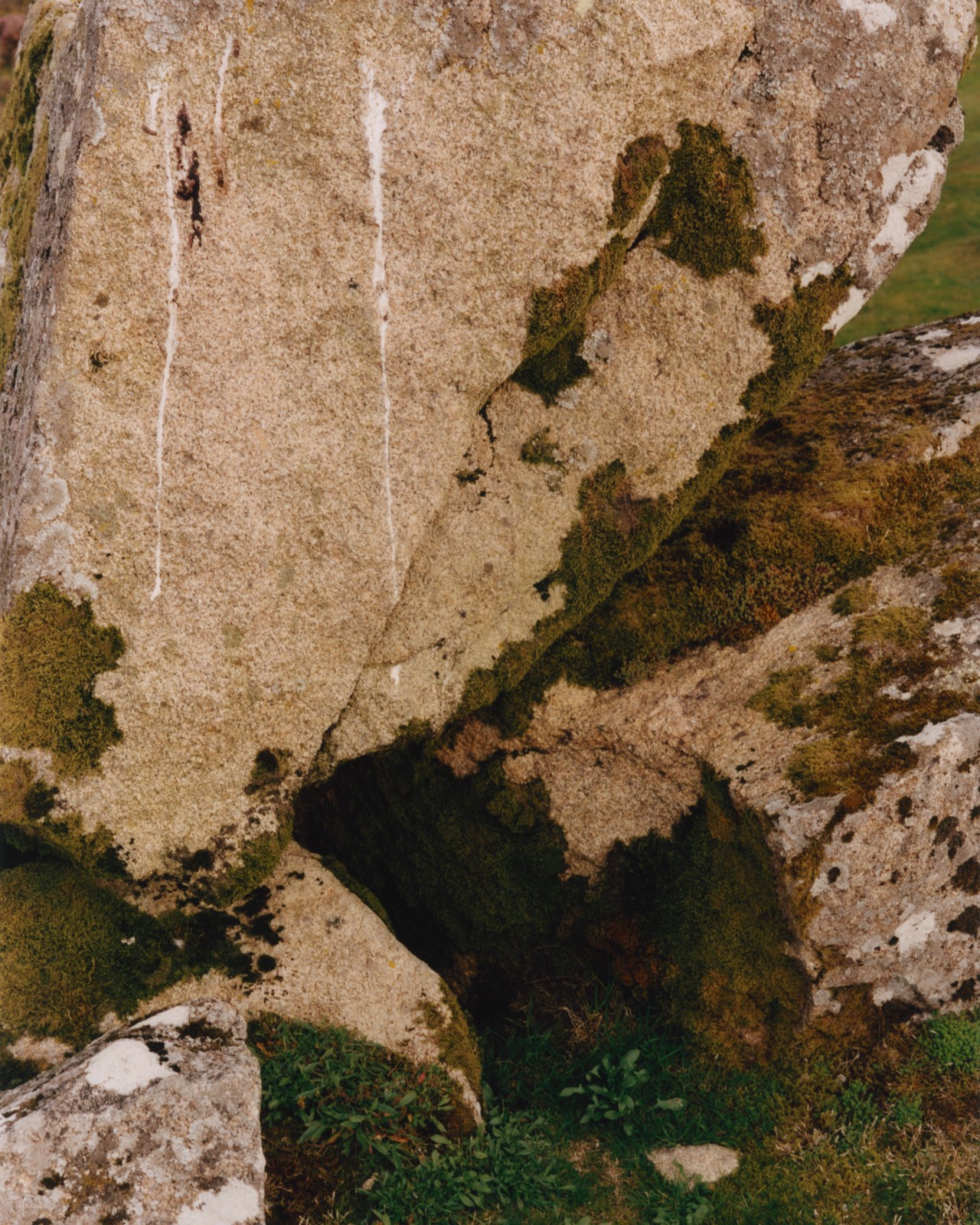 Moss grows along a granite stonewall.