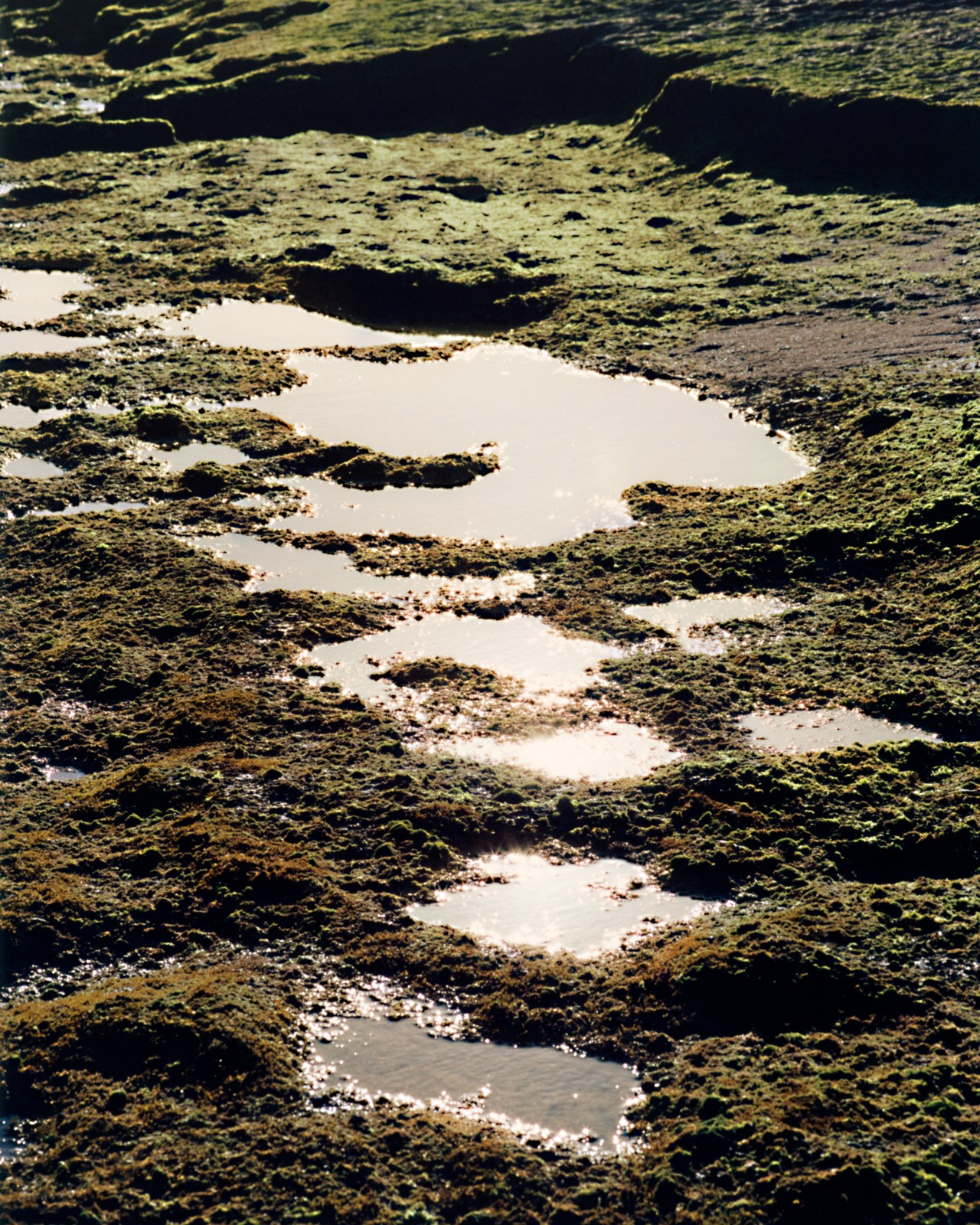 Small puddles gather in a muddy meadow.