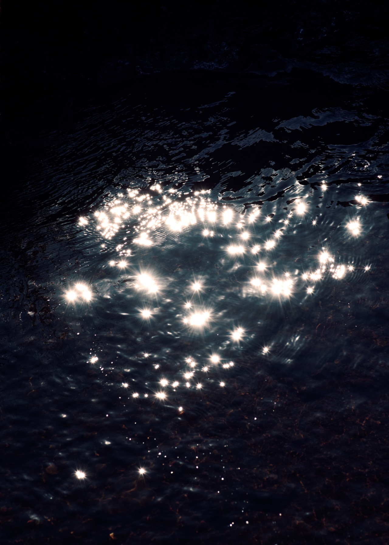 The surface of the water sparkles in the light.