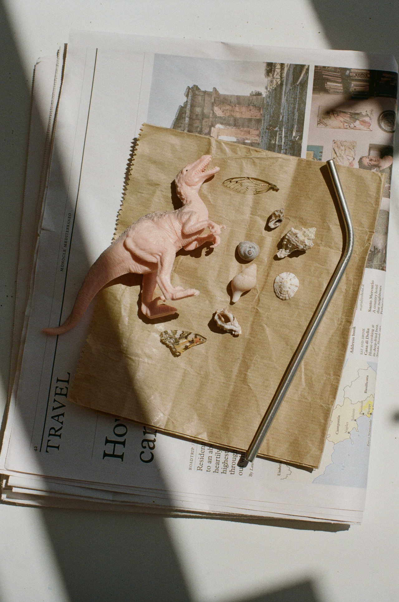 A plastic dinosaur, a few sea shells, and a metal straw rest on top of a brown paper bag laying on a newspaper in the sunlight.