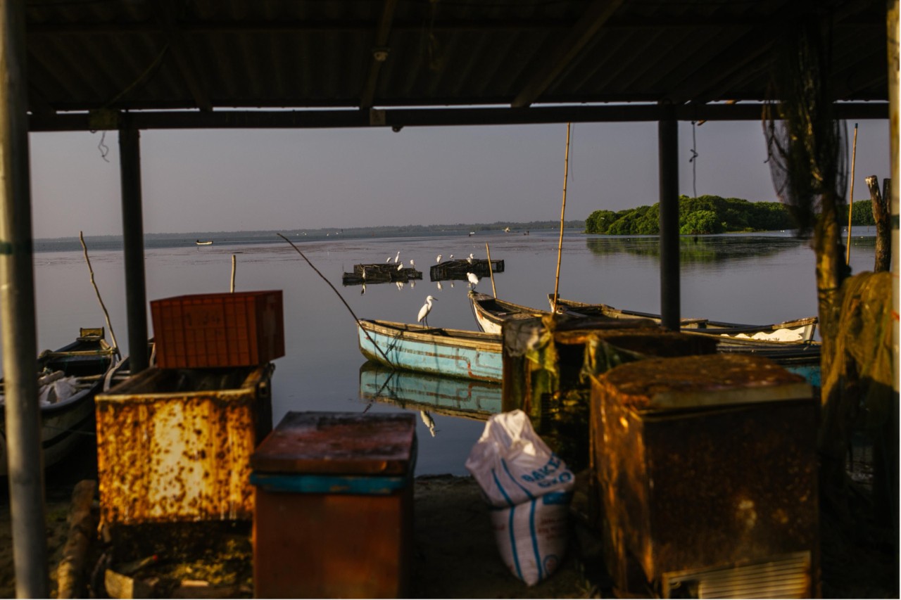 A local seafood center in Kalpitiya, northwestern Sri Lanka overlooks the Puttalam Lagoon.