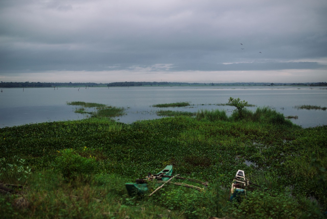 Ambagaswewa Lagoon near Medirigiriya in north-central Sri Lanka—a CKDu hotspot where E.G. Sunanda Lanka lives with his family.