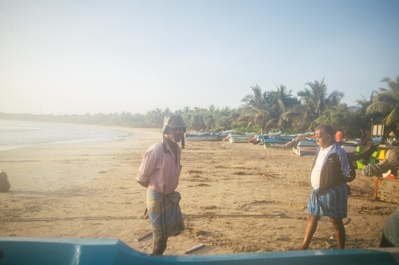 Elderly Tamil fishermen on Pasikuda Beach survey the catch from an overnight trip.