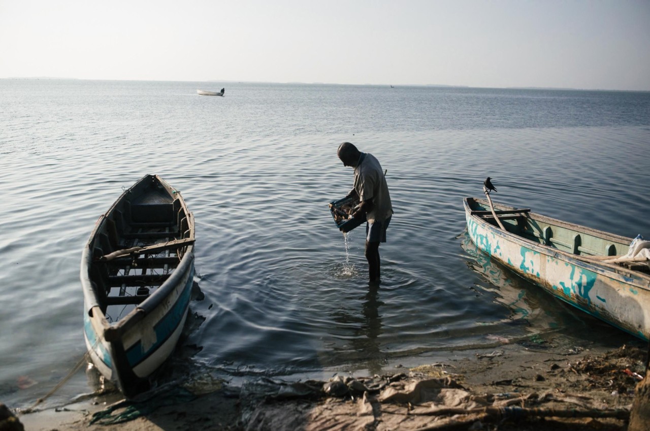 In Kalpitiya, on the northwestern Sri Lankan coast, a lagoon fisherman rinses his daily catch.
