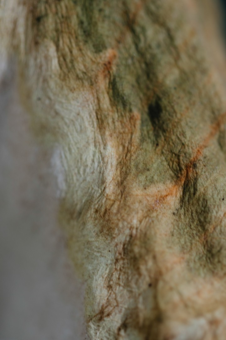 hero gallery image 13