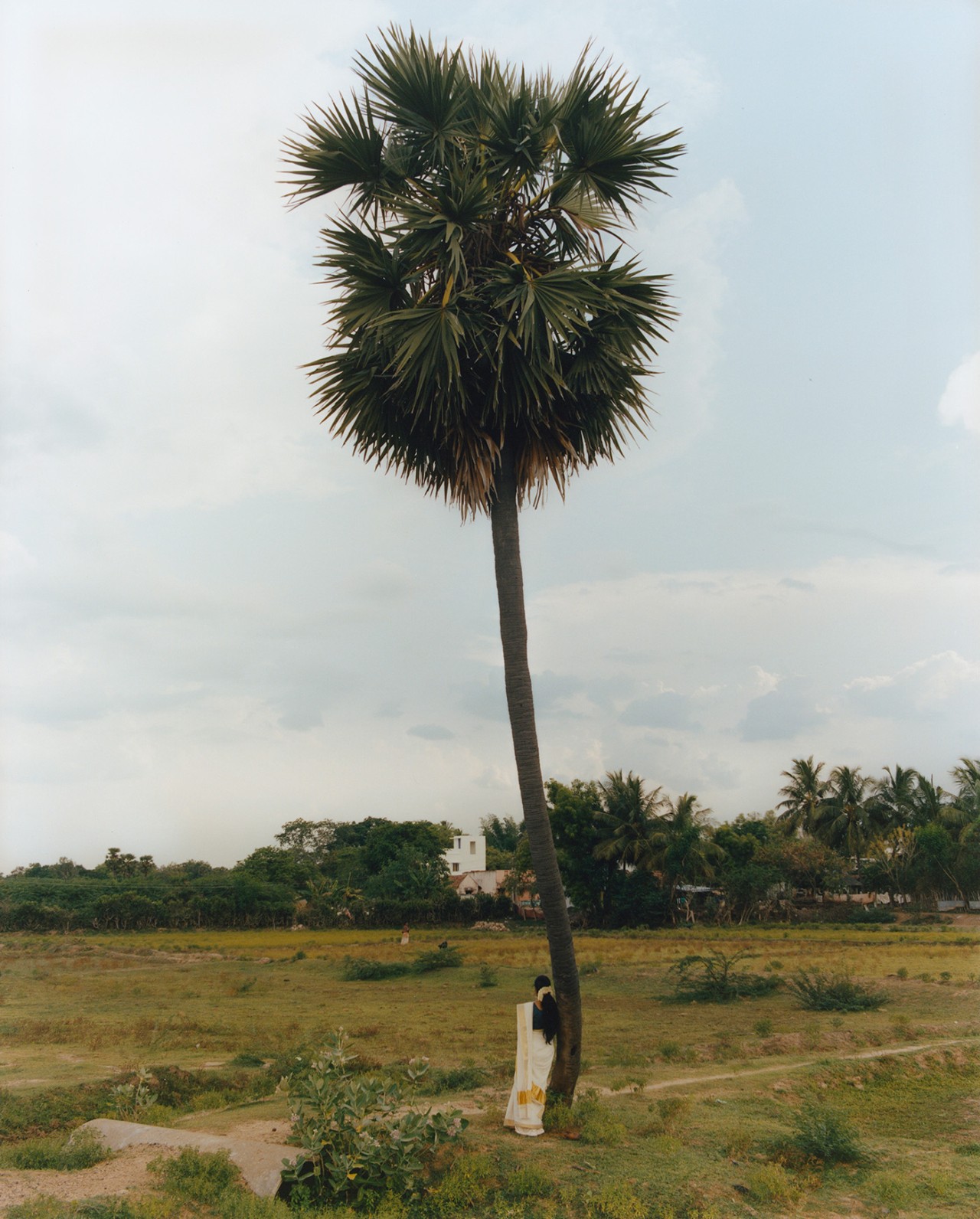 A person dressed in traditional Indian garb with long hair leans against a tall tree in an empty field in Southern India.