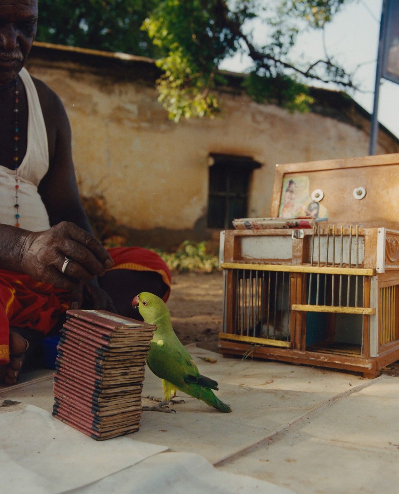 An older Indian man holds his fingers out toward a green bird that is standing next to a stack of card on a cement surface.