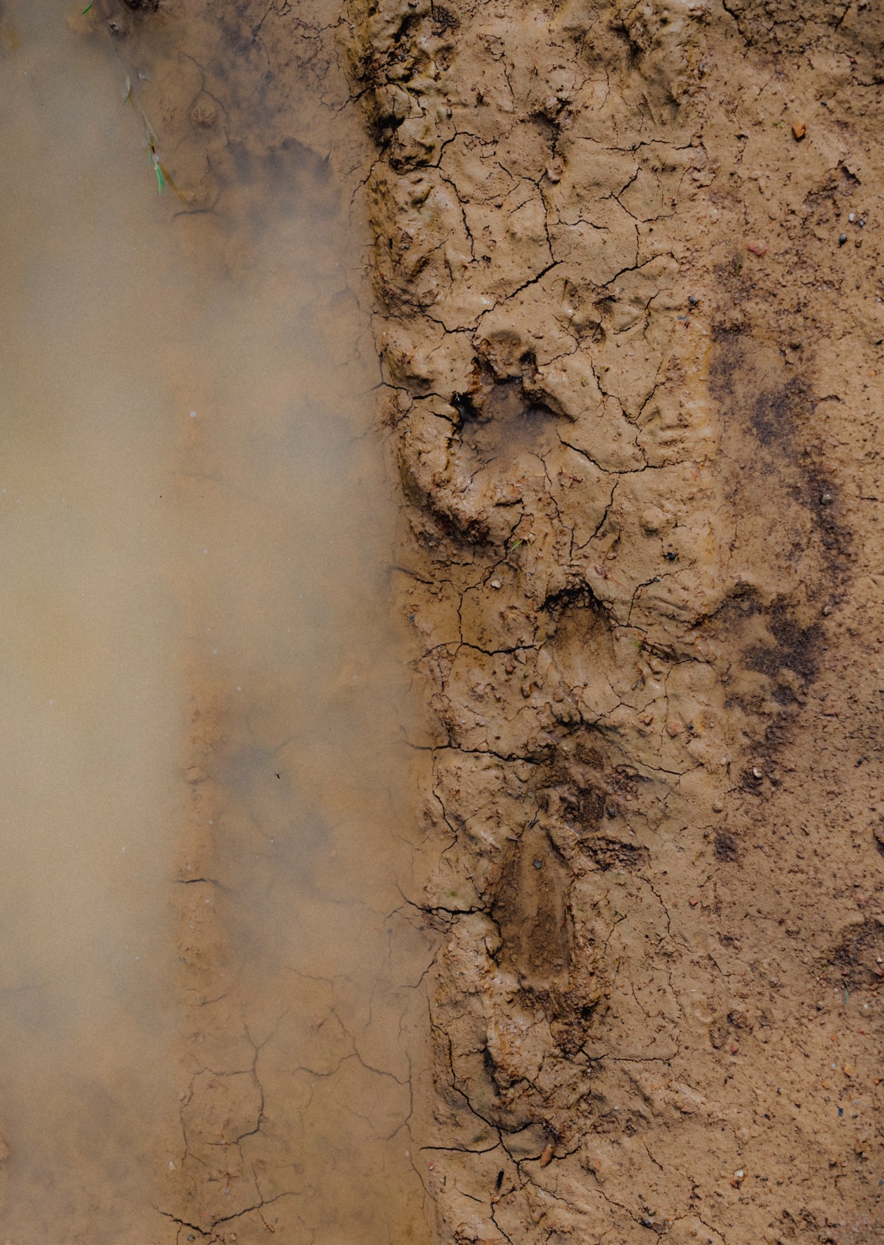 The cracks and gravel of a dried out river bed.