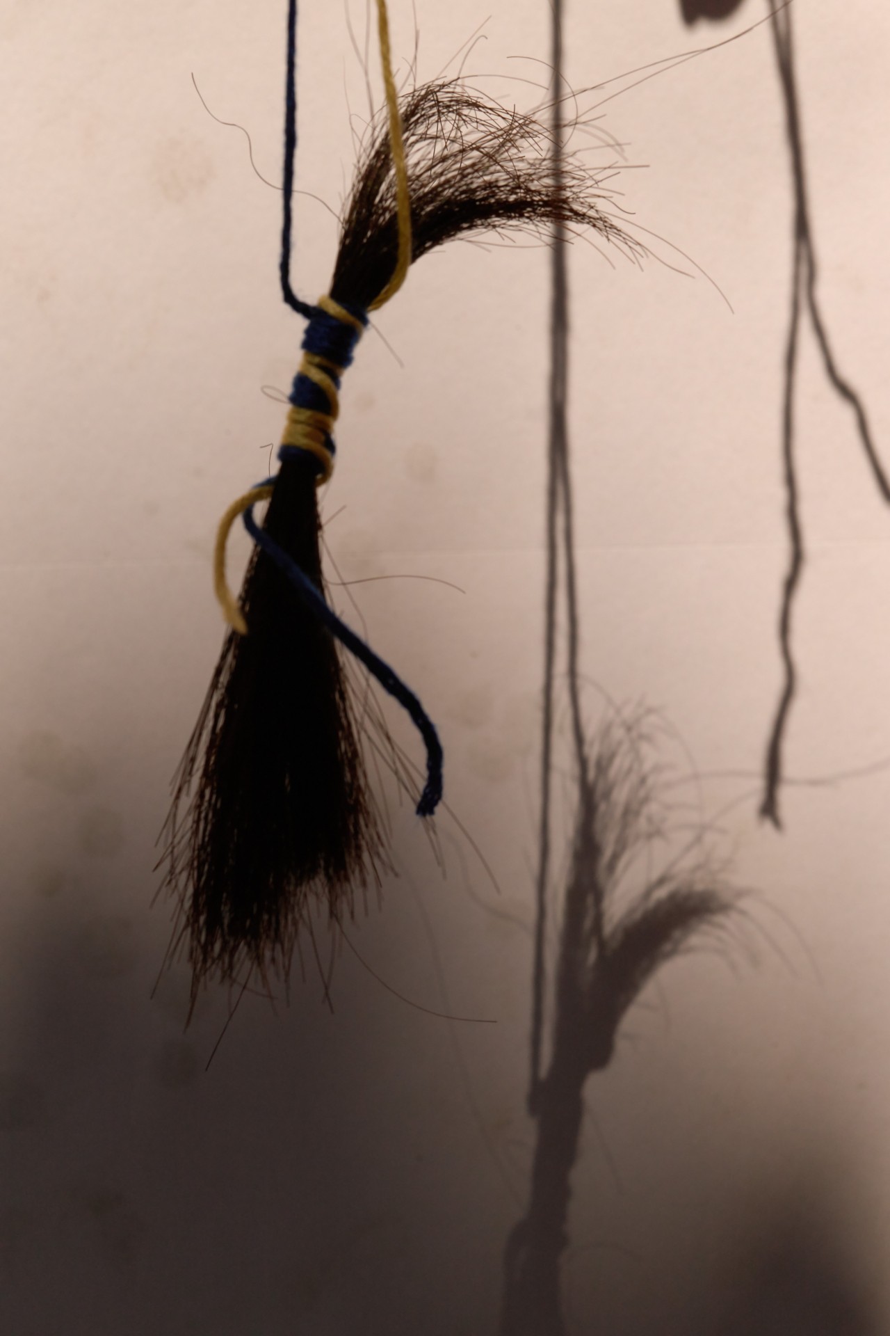 A piece of cut hair tied with yellow and blue string hangs near a wall. Its shadow is seen on the wall.