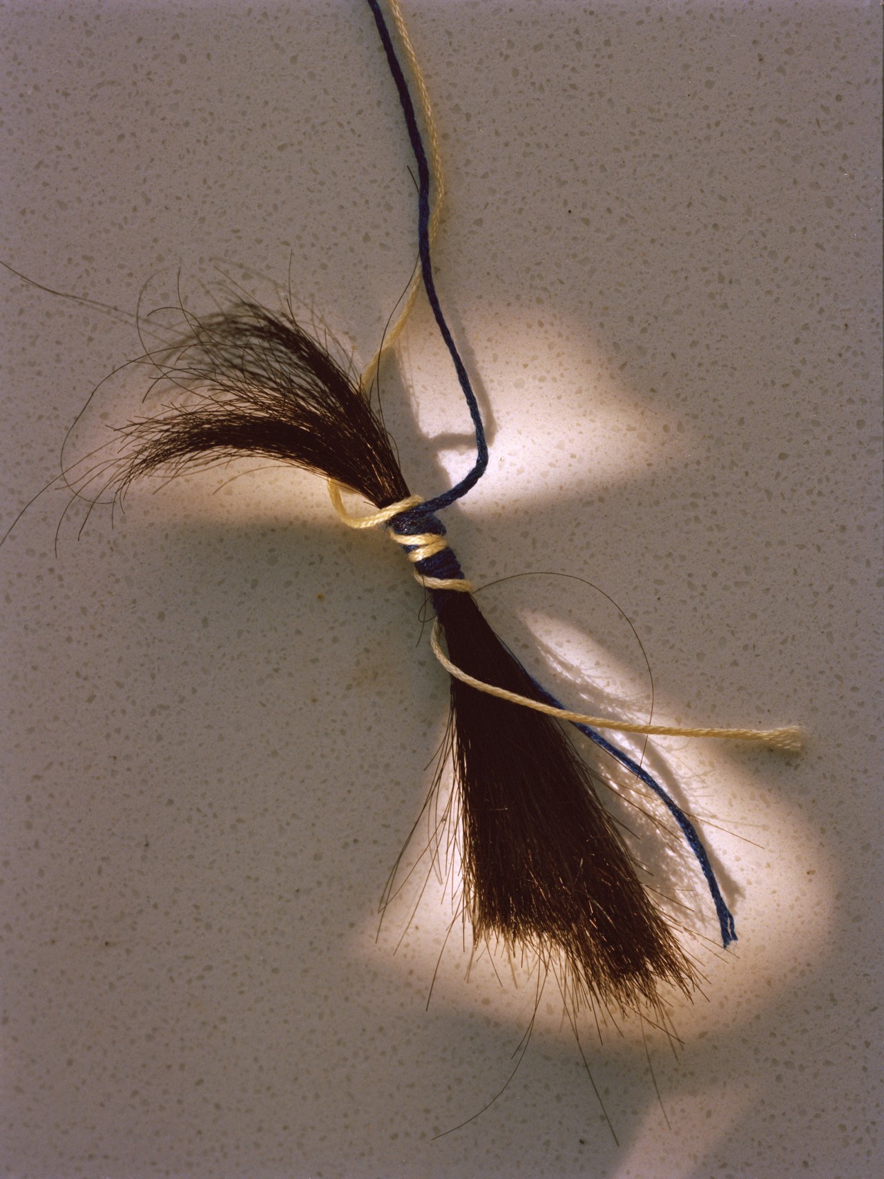 A piece of cut hair is wound by a blue and yellow string.