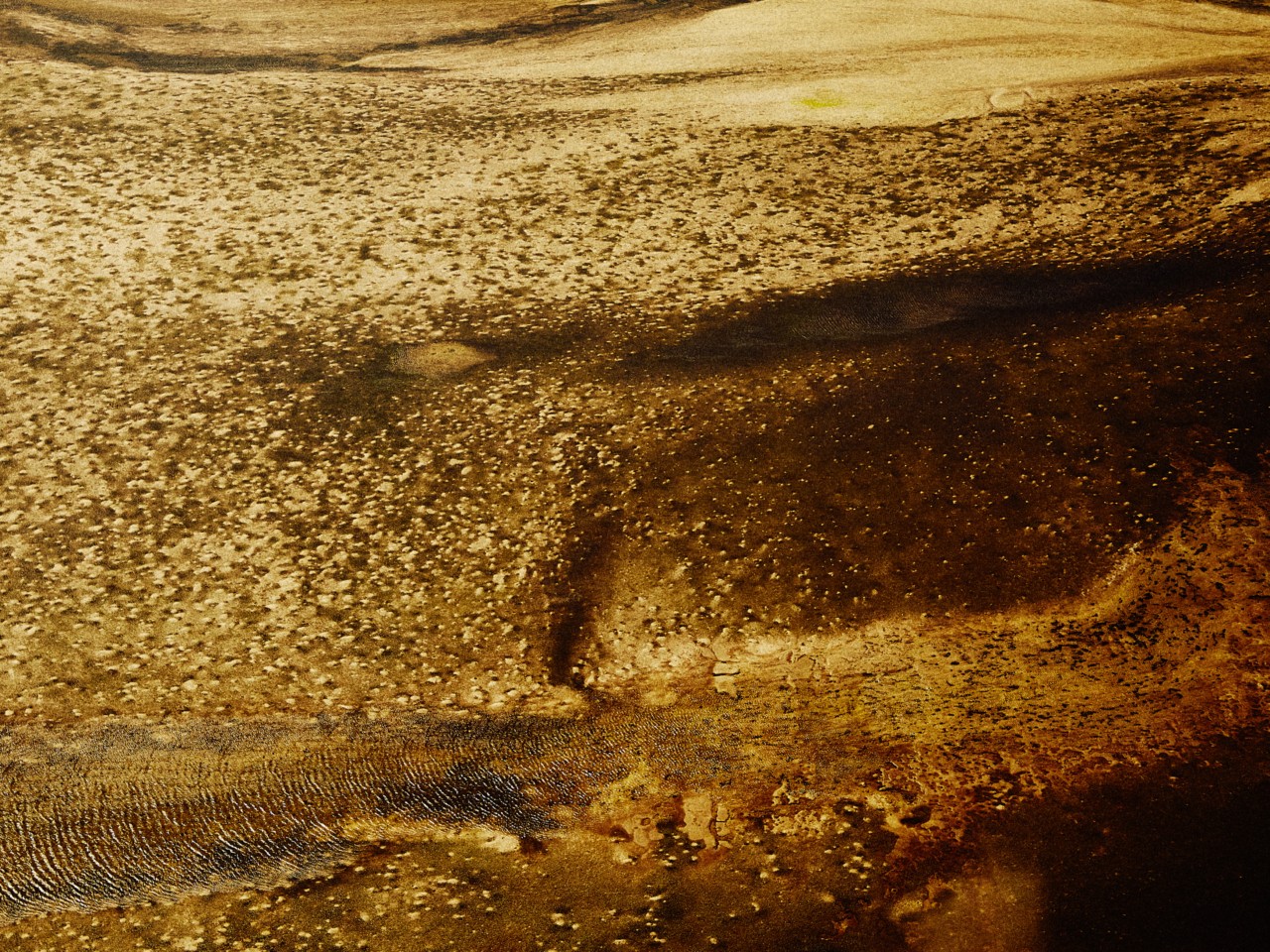The sandy landscape of Madagascar.