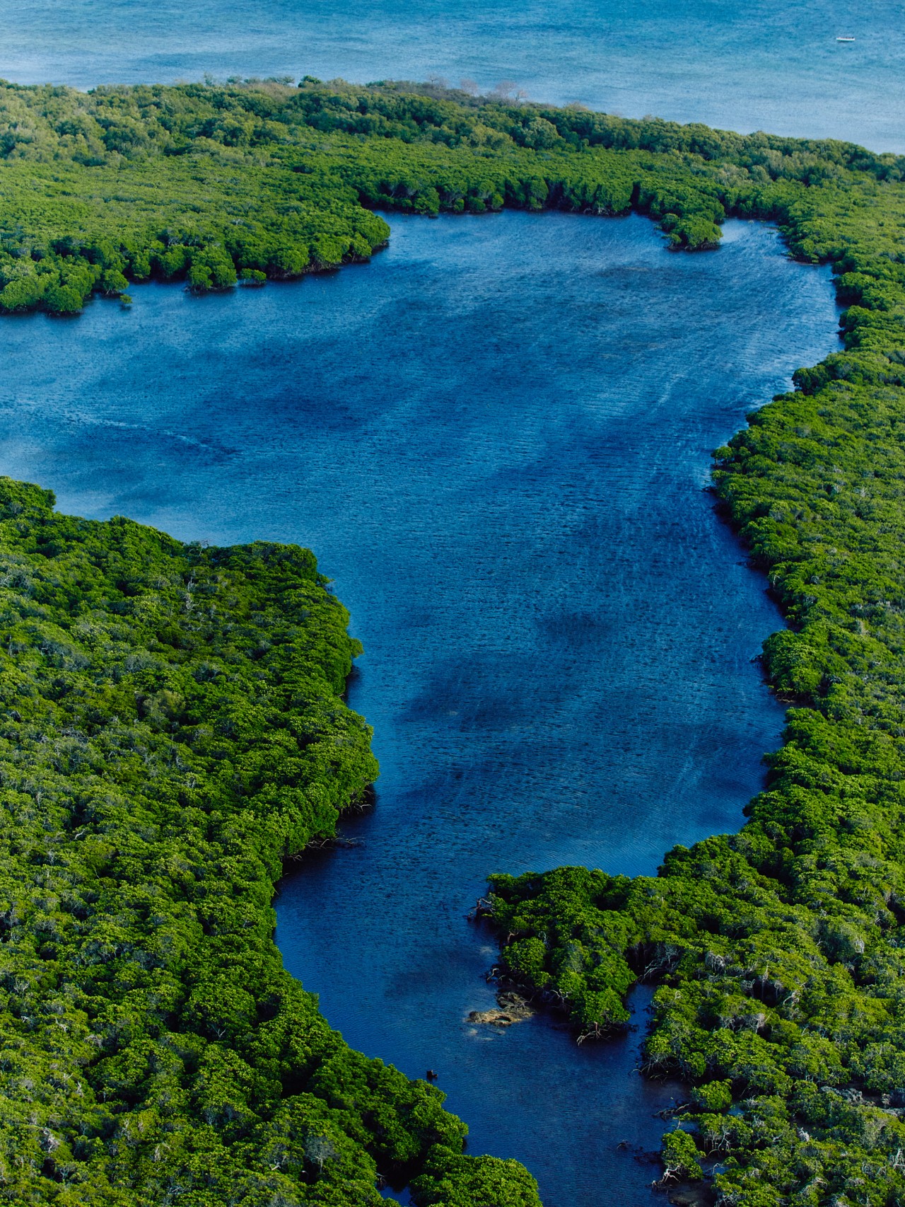 A body of blue water is surrounded by lush green vegetation.