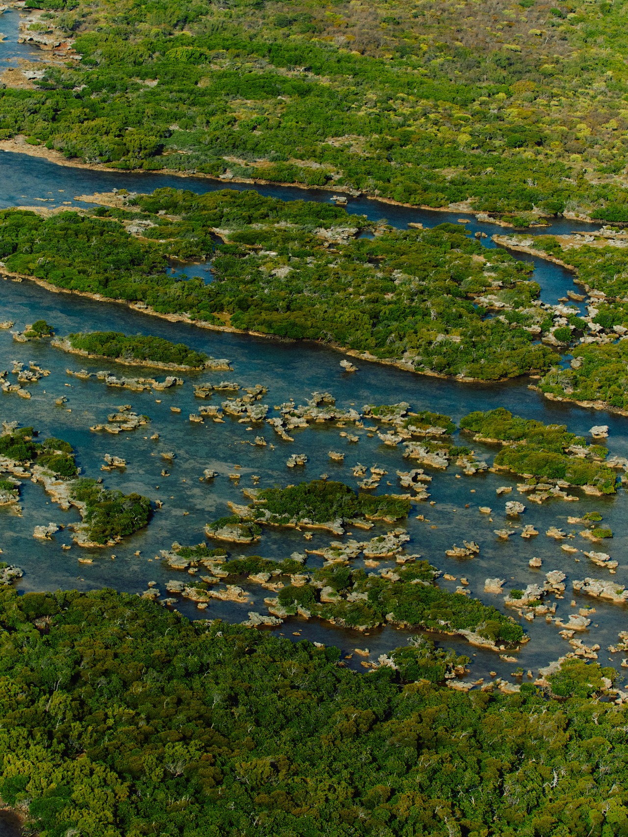 The blue and green landscape of Madagascar.