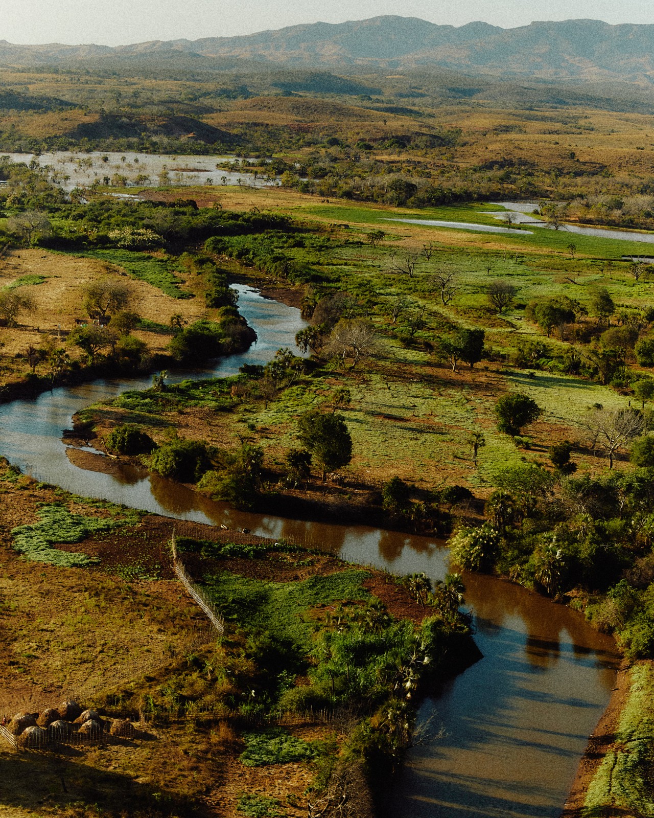 A river surrounded by lush grass runs through the island of Madagascar.