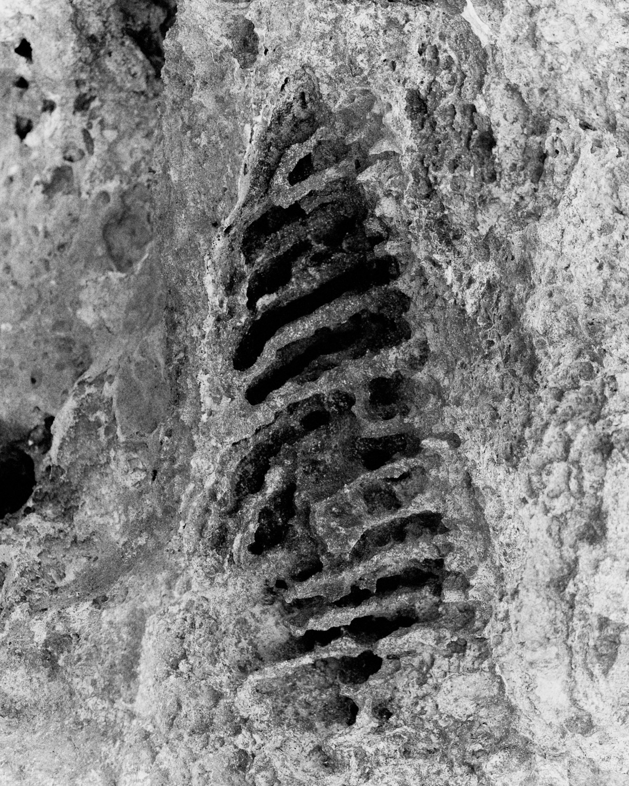 The rocky edges of a cliff in Madagascar.