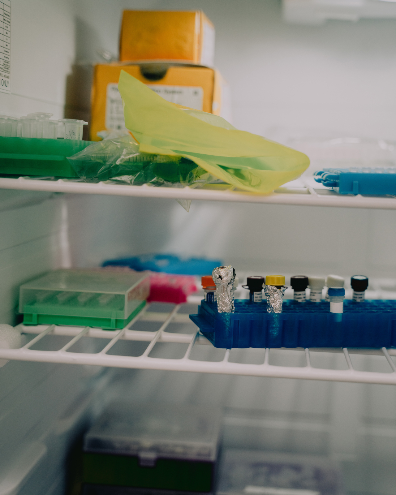 Samples of DNA sit on a rack in a fridge in a forensics lab.