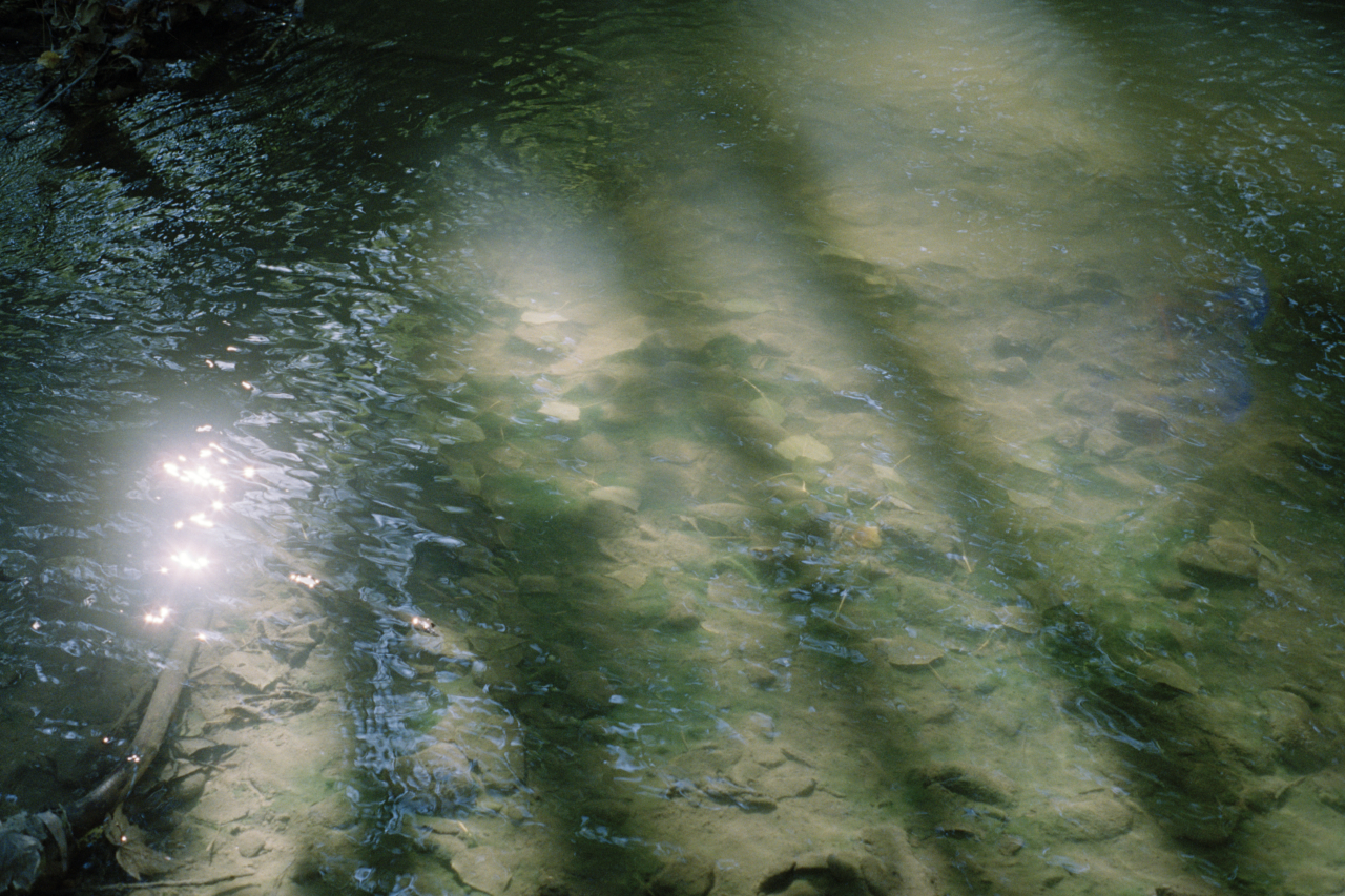 Sun rays reflecting on the water's surface