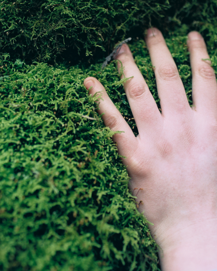 A hand grasps onto a bed of leafy foliage.