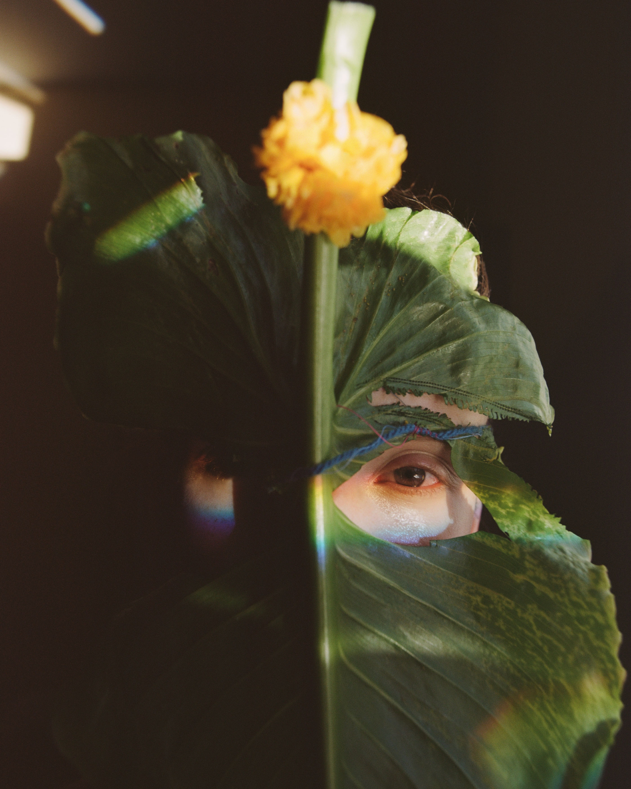 A model's eye peers through a hole on a large leaf.