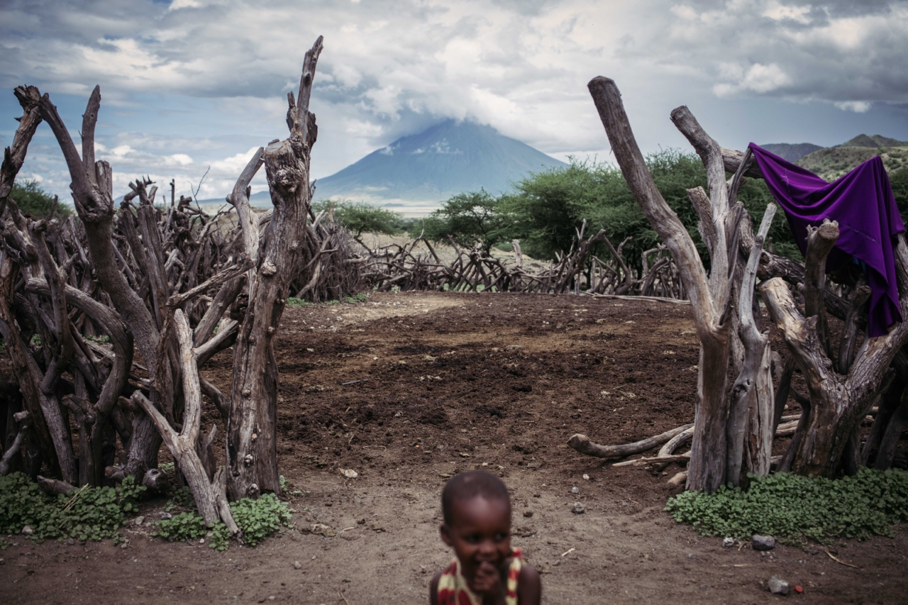 Ol Doinyo Lengai, a sacred Maasai mountain, viewed through a boma (animal pen) in Lake Natron’s Ngarasero village.