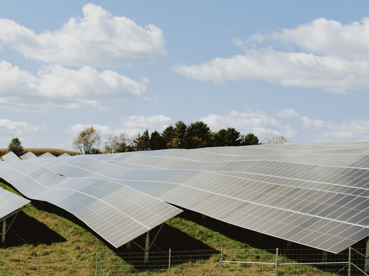 A sheet of solar panels face up toward a clear, sunny sky.