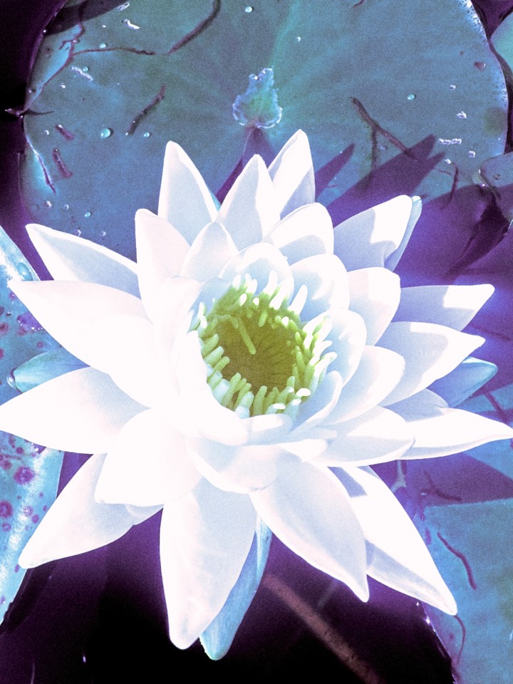 hero gallery image 5