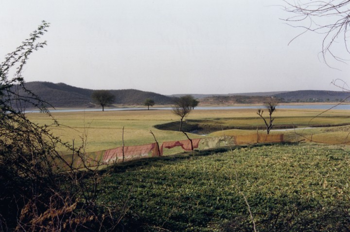 hero gallery image 11
