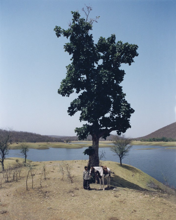 hero gallery image 7