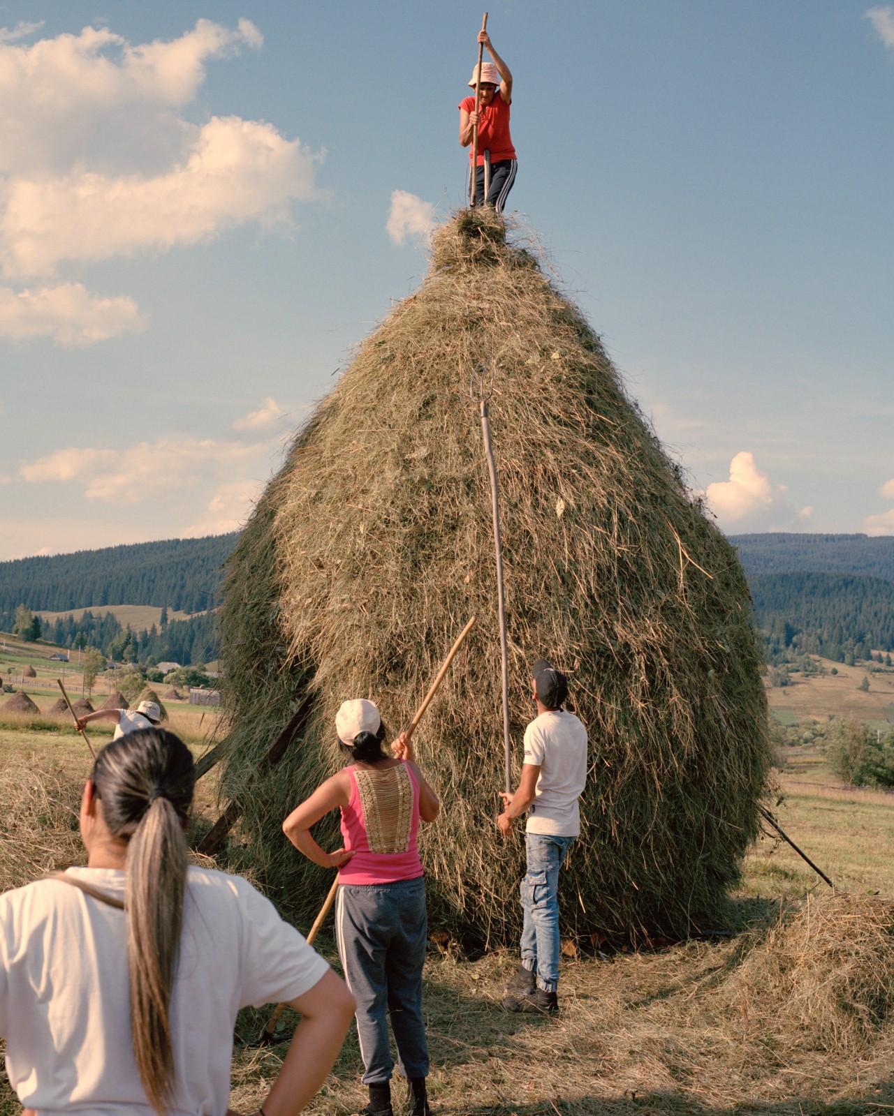 Beauty and Biodiversity in Romania’s Hayfields