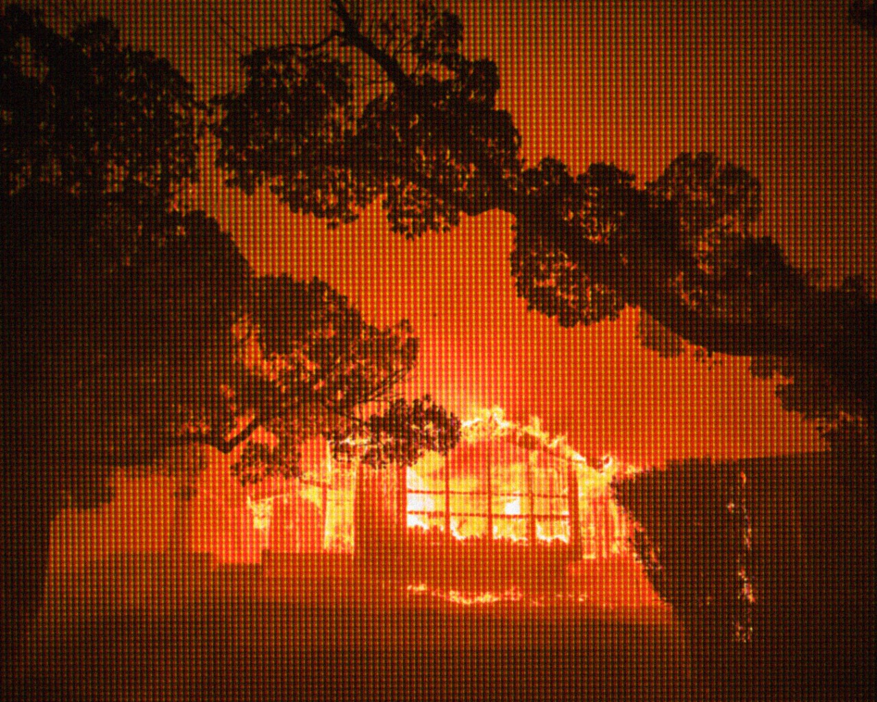 Home Cameras Offer ‘Horror Movie Moments’—and Essential Help—Amidst LA Fires