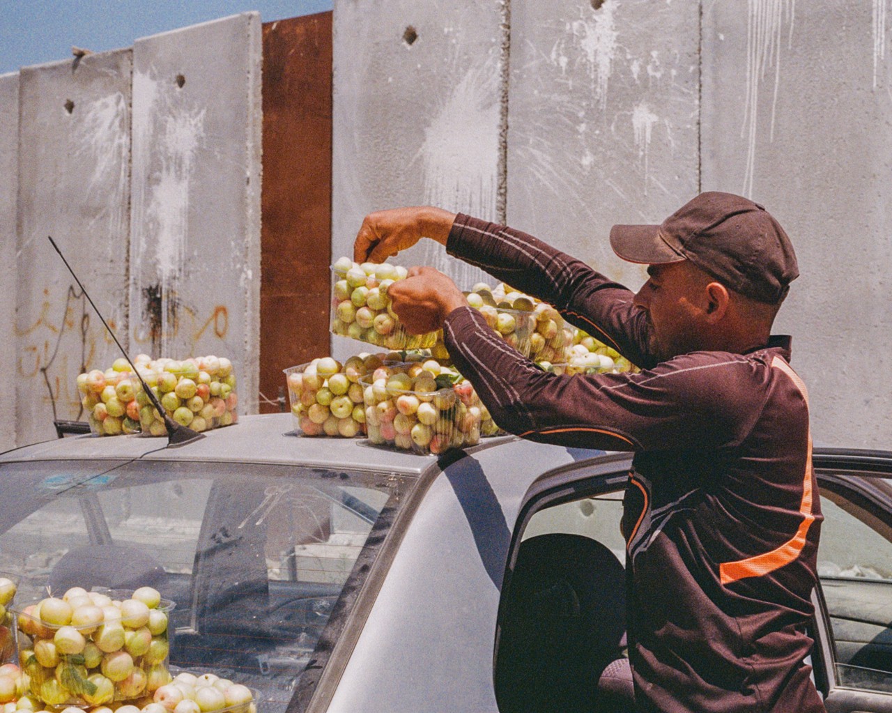 Planting Seeds of Freedom in Palestine’s First Ecovillage