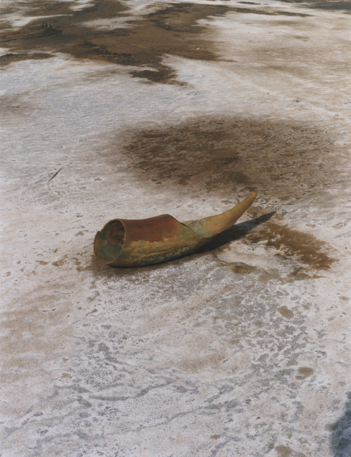 hero gallery image 8