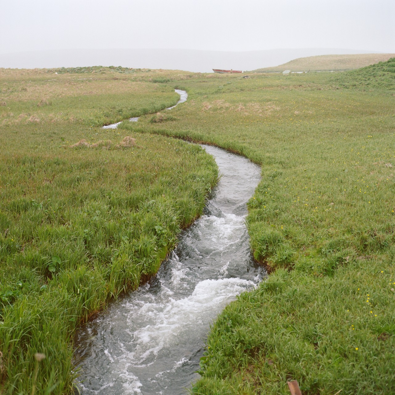 A river cuts through a vast grassy field.