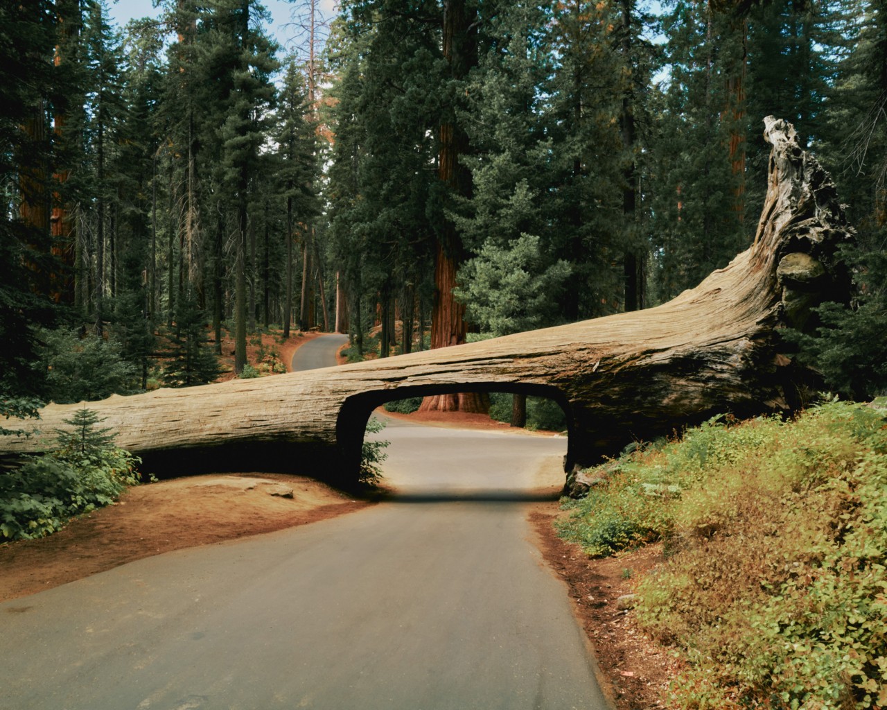 Our National Parks Are Too Vital To Be Lost