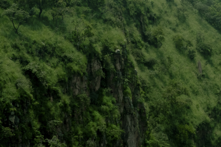 hero gallery image 12