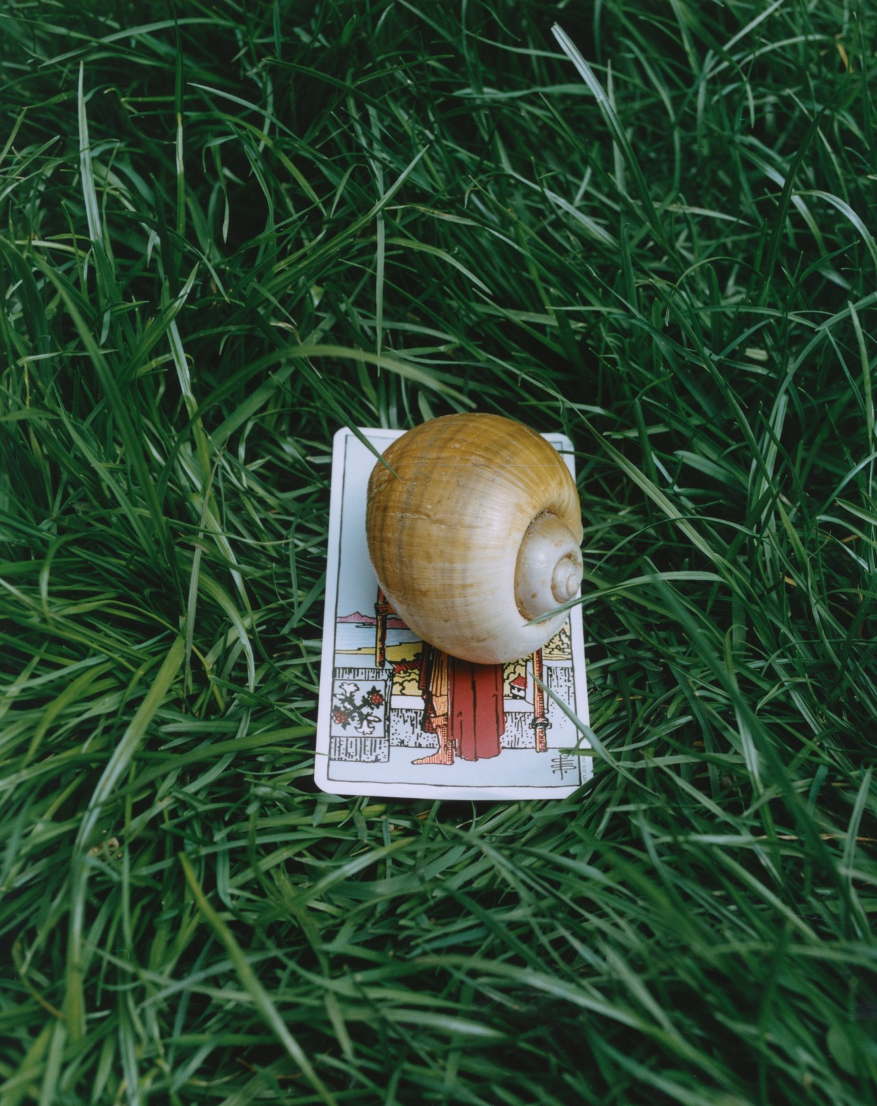 Can Tarot Readings Offer a Salve for Climate Anxiety?