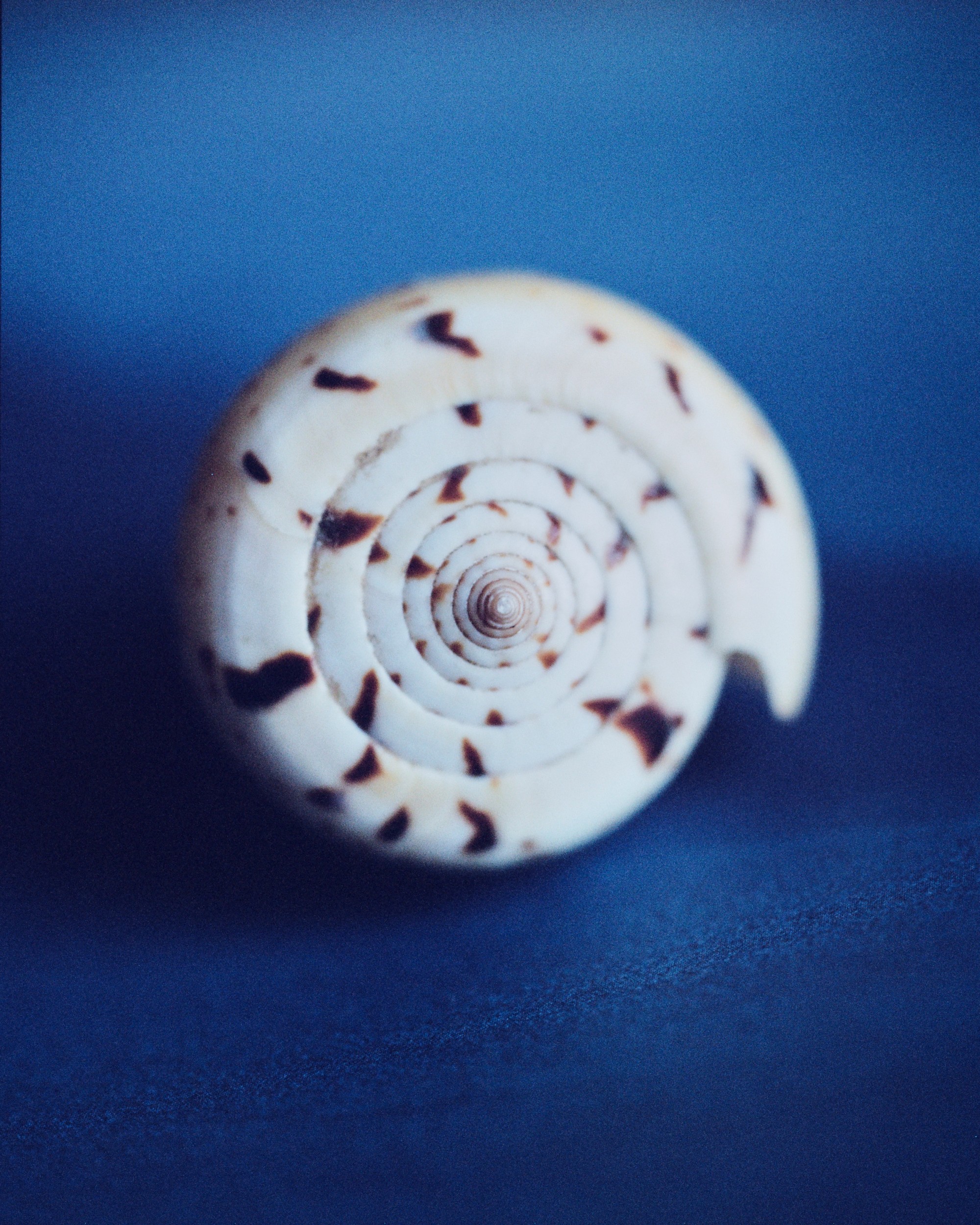 Janine Benyus on Biomimicry and Designing With Life’s Intelligence
