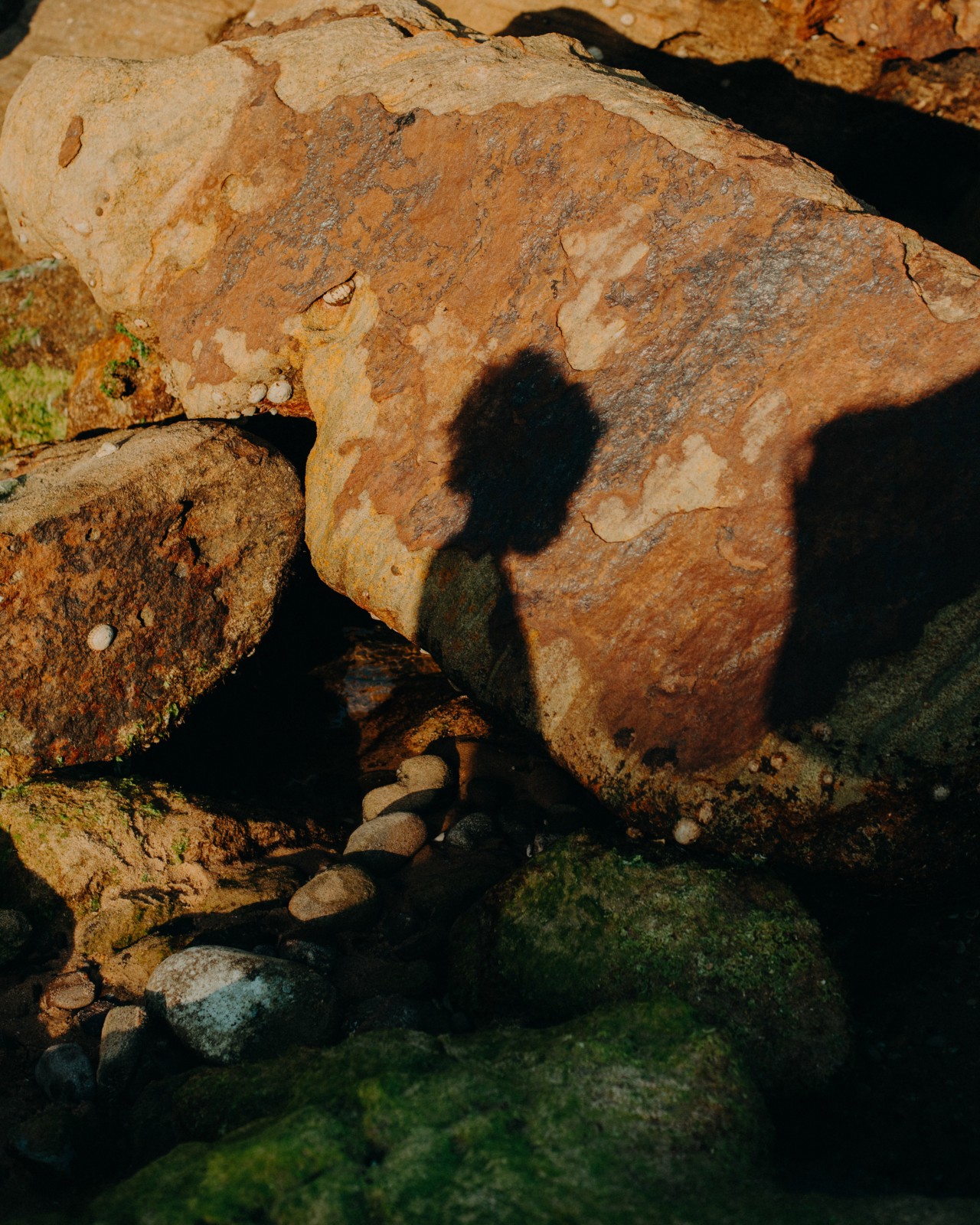 A Future Without Environmentalism Is the Goal