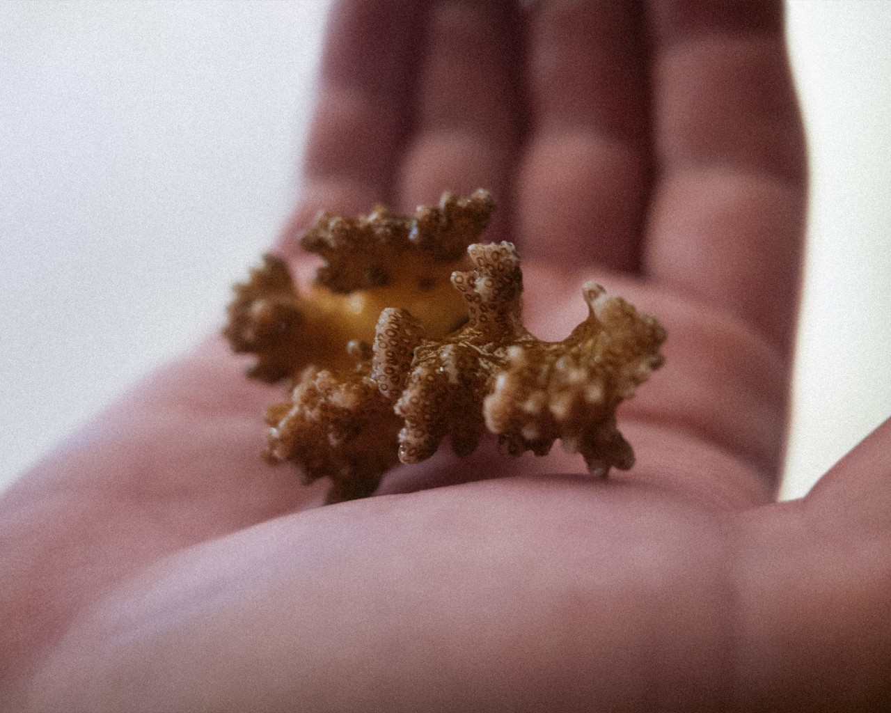 Earth’s Ancient Microbes Offer Lessons for a More Livable Future