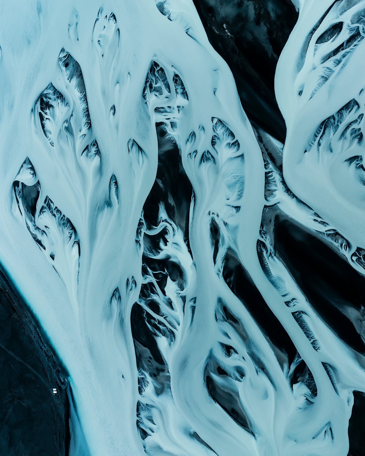 Gaia Complex: Why Earth Is Not a Superorganism