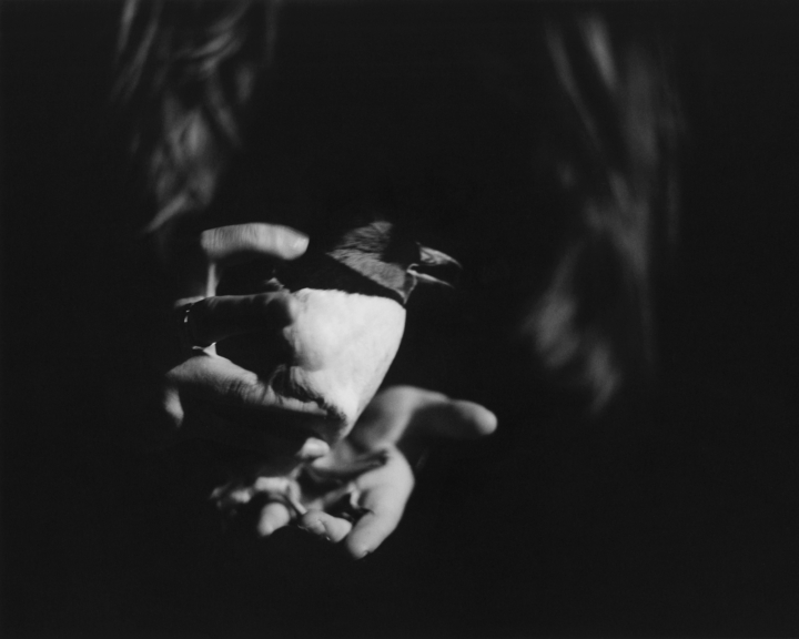 hero gallery image 19