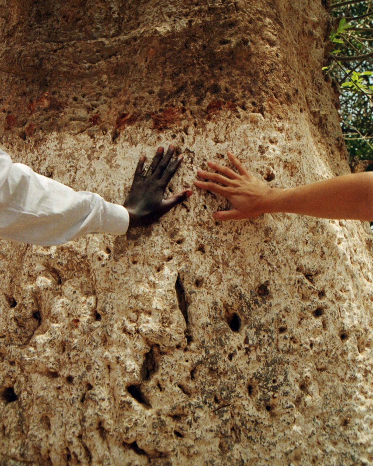 Gaia Bonanomi