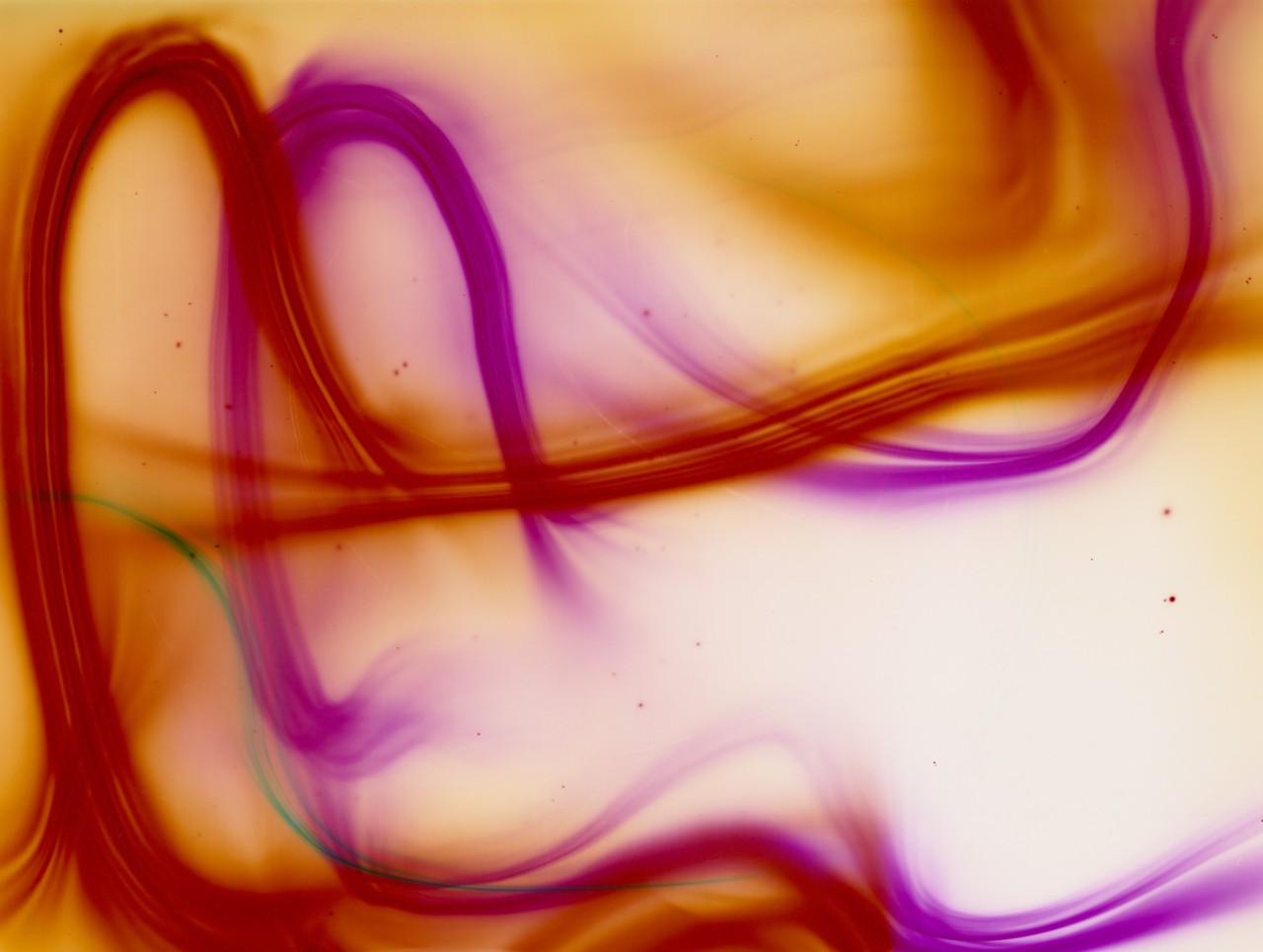 A purple and orange luminogram by Marton Perlaki