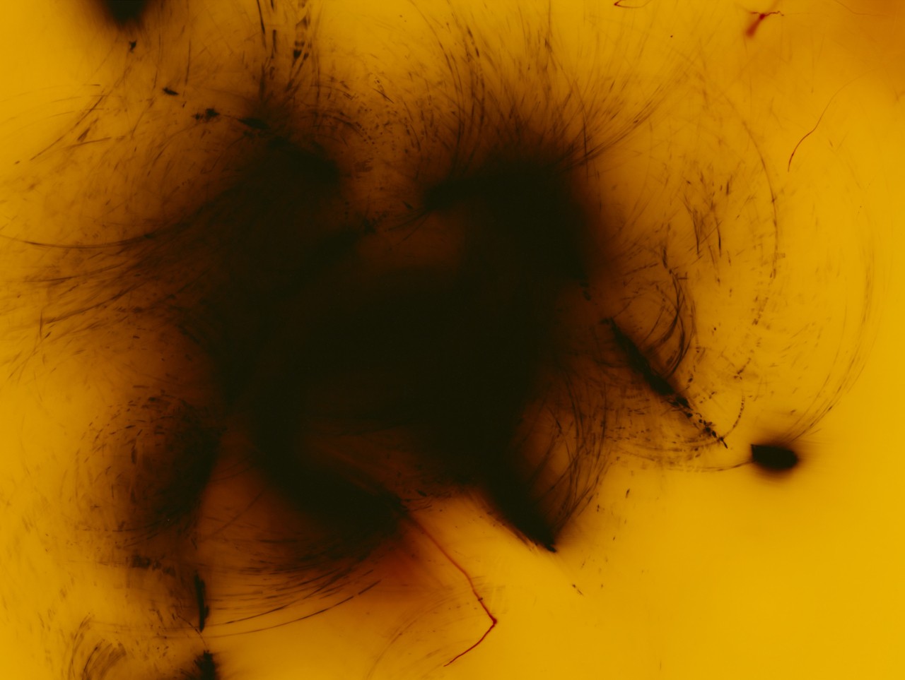 An orange and black luminogram by Marton Perlaki