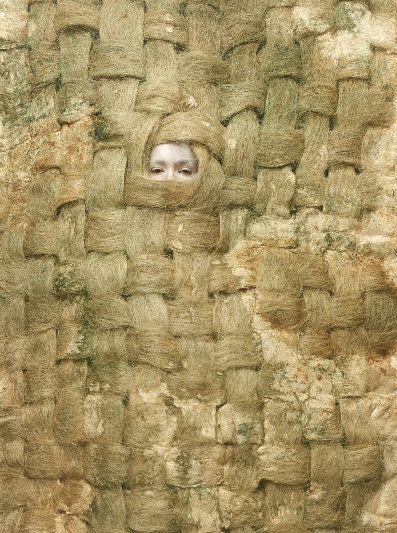 Carpet made from raw agave fiber, polypore fungi, and cyanobacteria.
