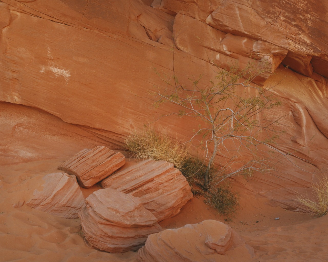 Red rock in Utah's Glen Canyon.