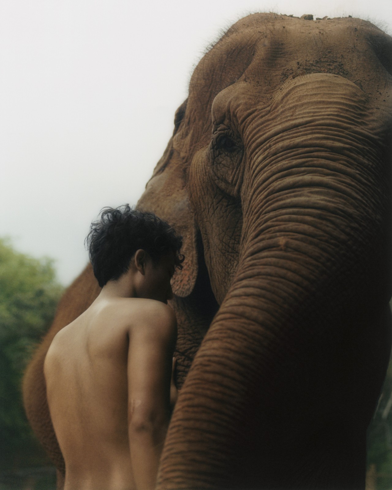 Rewriting the Relationship Between Elephant and Keeper