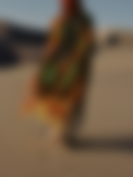 Someone wearing a colorful, fringed tunic walks away from the camera along the sandy ground.