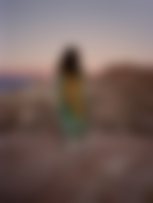 A person with long brown hair wears a tunic with sunflowers on the back as they stand among the mountains.